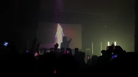 A time to remember 💜 @Sidewalks and Skeletons #brooklyn #concert #sidewalksandskeletons #goth #fypシ 