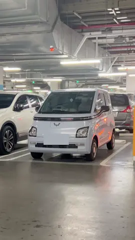 Kau kau aku aku 😅 #mobillistrik #airev #dindrive 