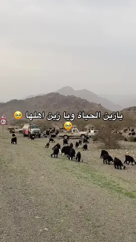 #اكسبلورexplore 