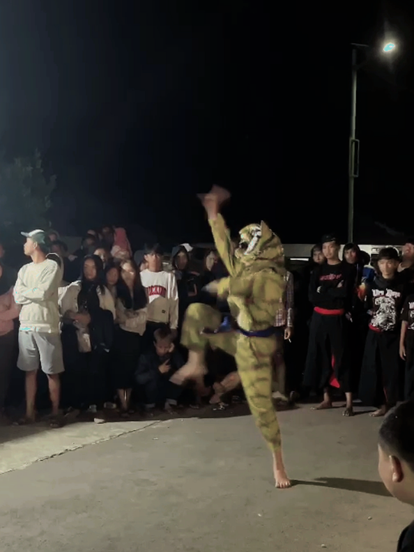 Solah macanan@GUMARANG SAKTI  #bantengan #macanan #pencaksilat #tradisional #estutinggigumarangsakti 