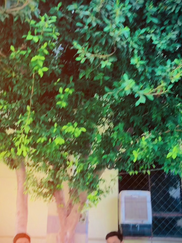 #fypシ゚viral #trinding_video #viralvideos #tiktok #creatorsearchinsights @‼️💸 Maلaک SoحAiل 💸‼️ 