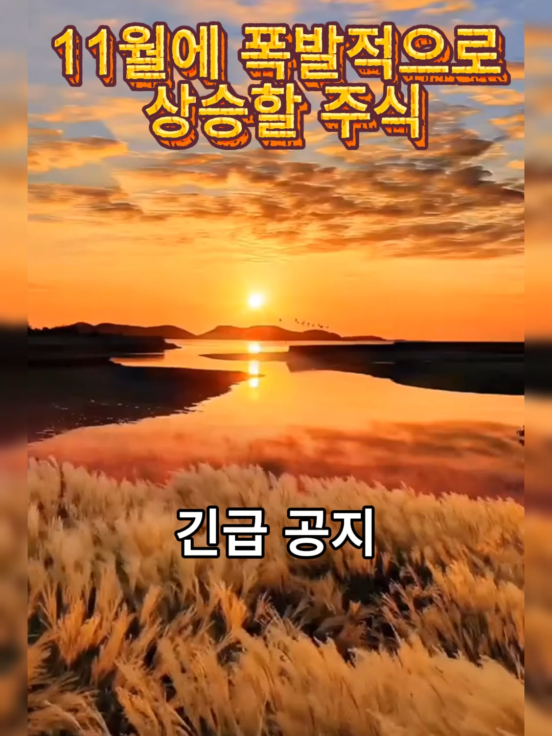 11월에 폭발적으로 상승할 주식#증시 #한국증시 #주식 #주식투자 #투자