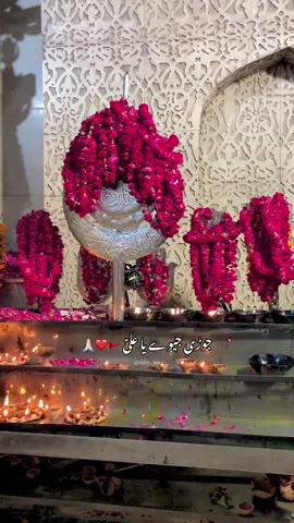 Jori Jeeway Ya Ali (A.S) 🙏🏻 #molaghazi #ghaziabbasع #ghaziabbas #moeezhaiderproductions #molaghaziabbasalamdar 
