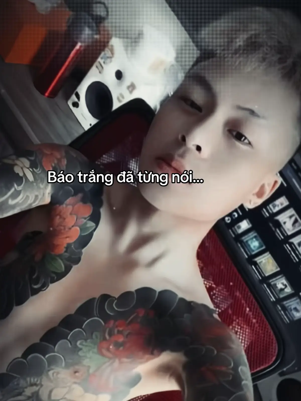 Báo trắng đã từng nói…!#báotrang #xuhuong 