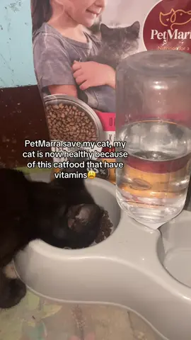worth it to buy para sa mga cats niyo😉 #catfood #petmarra #drycatfood #foryoupage #fypシ゚ @PetMarra 