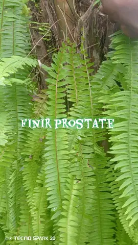 #italie🇮🇹 #partage #france🇫🇷 