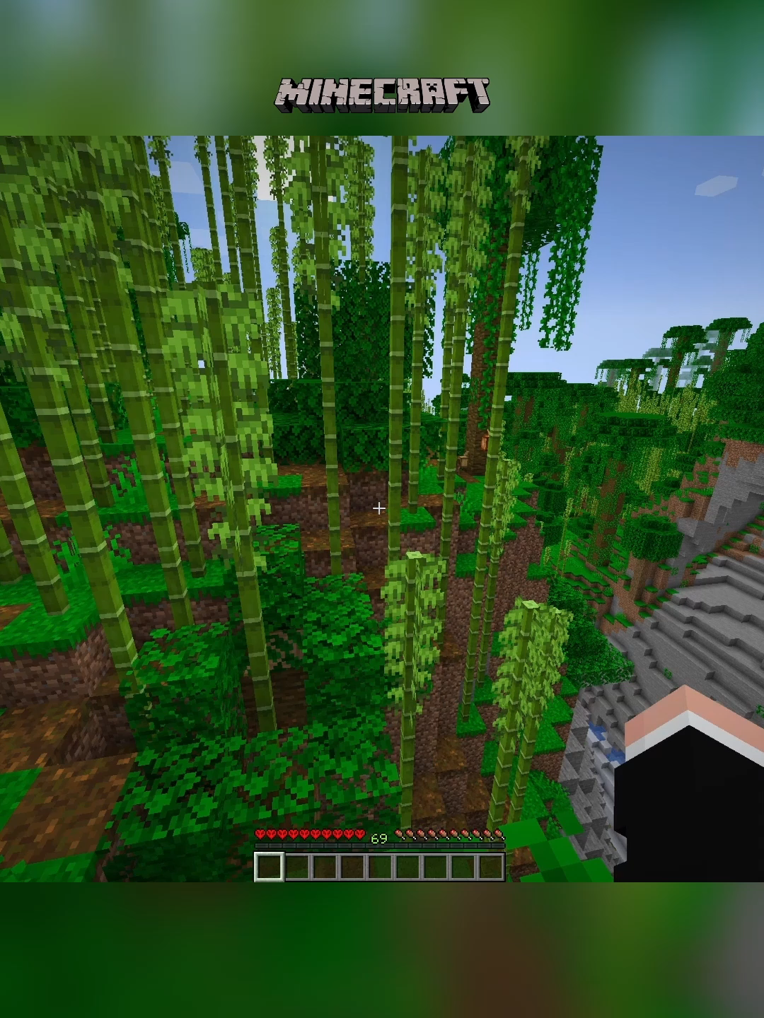 THE ENDING?? 😭☠️#Minecraft #minecraftshorts #minecraftbut #minecraftfunny #minecraftchallenge #minecraftmeme #plazamc #minecraftbuilding #fyp