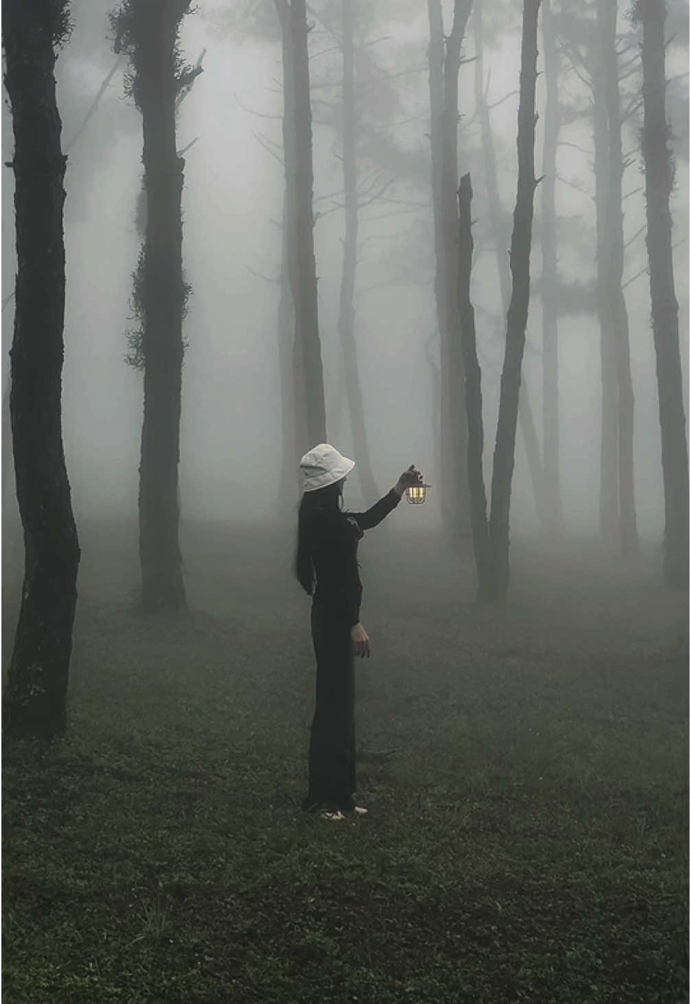 🌳🖤  #สโลว์สมูท #ภูเรือ  #ปาริฉัตรชอบเที่ยว #fyp 