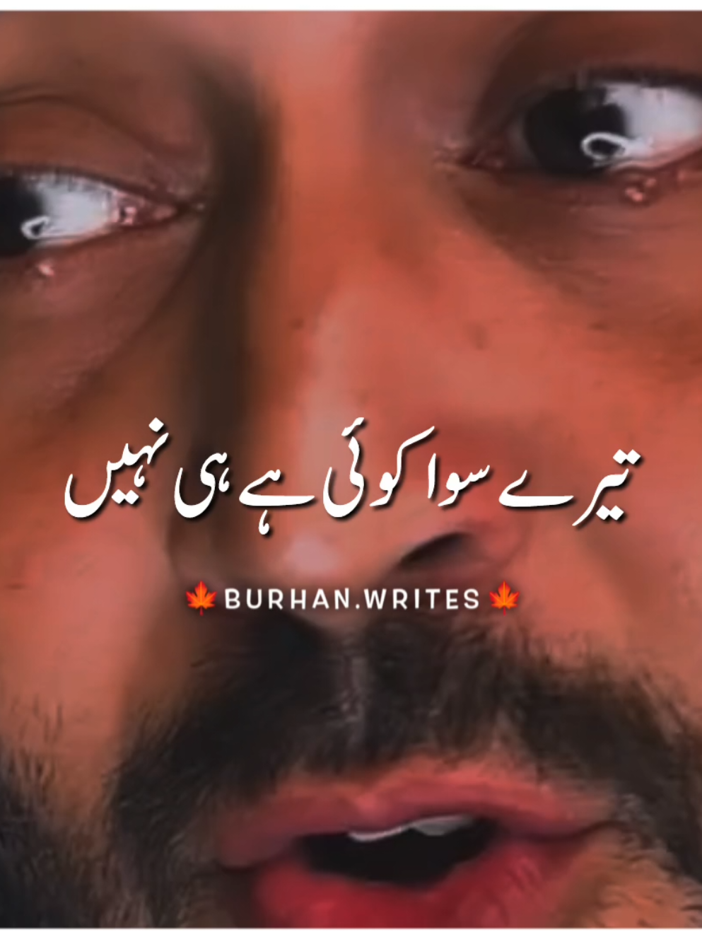 Tery siwa koi hai hi nahi