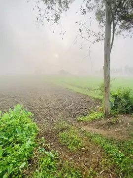 কপাল যেহেতু খারাপ মন খারাপ করে লাভ কি, কষ্ট যখন নিজ সঙ্গি আফসোস করাটা বোকামি.!😅#vairal_video #Foryou 