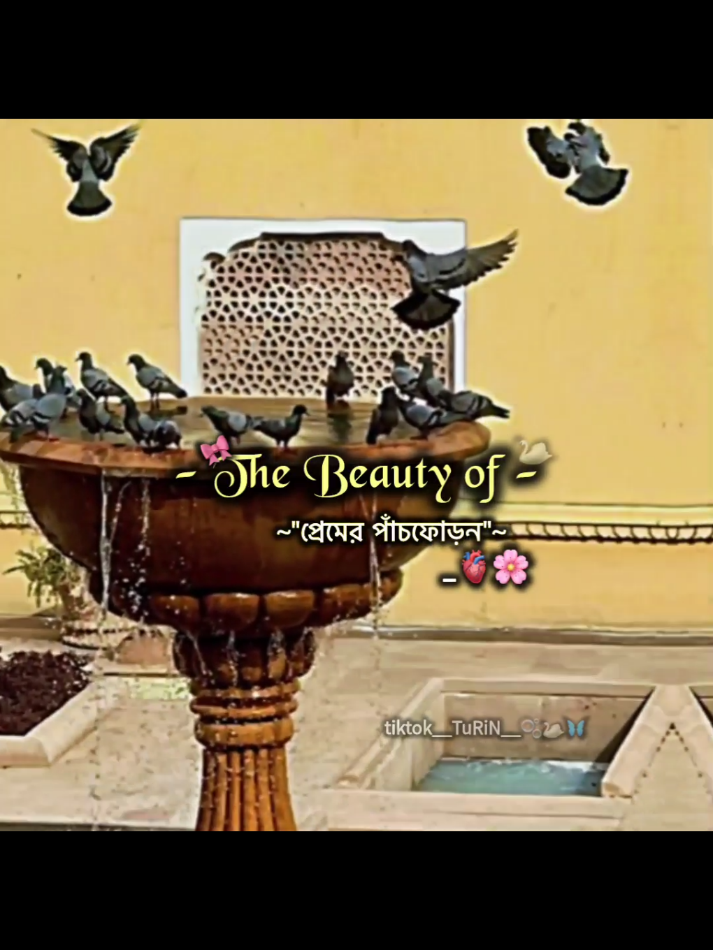 শুনো মেয়ে আমার তোমার প্রতি কোনো ইন্টারেস্ট নাই🙂😂 best একটা উপন্যাস😘 . . . . . #highlight #foryou #প্রেমের_পাঁচফোড়ন #শাহরিয়ার_শান্ত #উপন্যাসপ্রেমি @For You @TikTok @TikTok Bangladesh 