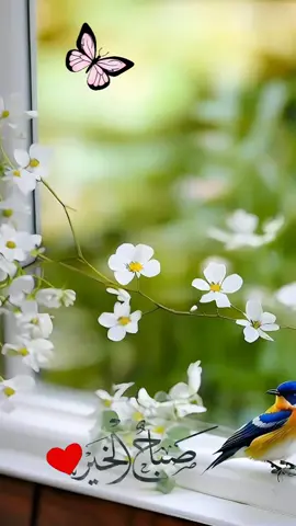 #اذكار_الصباح  #دعاء_يريح_القلوب #دعاء_مستجاب #دعاء #صباح_الخير 