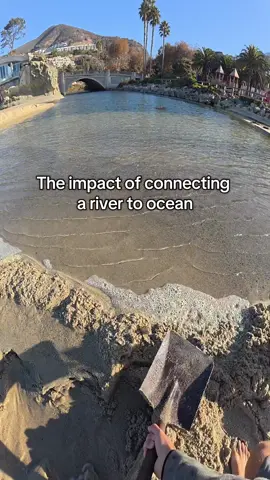 Breaking a sand dam to connect a river to ocean in order for bacteria to not develop and later on flood into the ocean