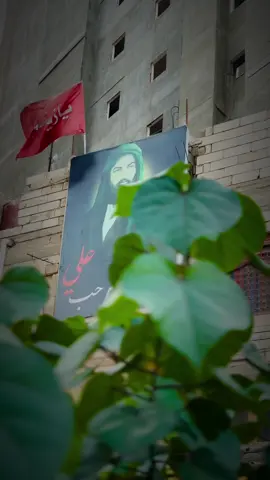 علمو اولادكم حب الوصي حيدر 🤎 #علي_بن_ابي_طالب 