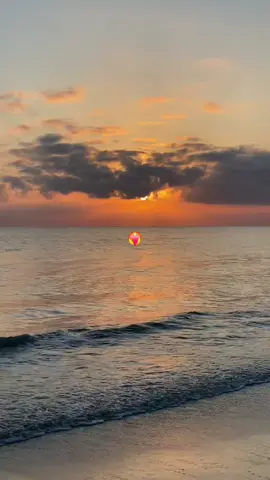 #وين_راحت_ديك_الحنانة #pyf #اغاني_راي_جزائرية🇩🇿 #شعب_الصيني_ماله_حل😂😂 #جيش_كريم 