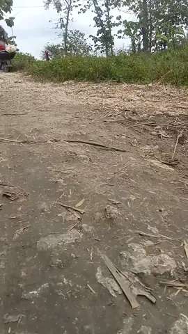 ##bukit tinggi#fyppppppp