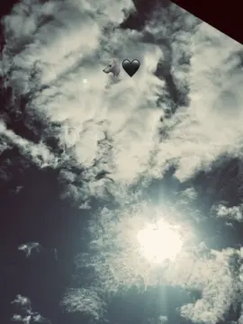 #🇩🇿🇲🇦🇹🇳 #dzair🇩🇿 #foryoupage #didinklach #شعب_الصيني_ماله_حل😂😂😂 