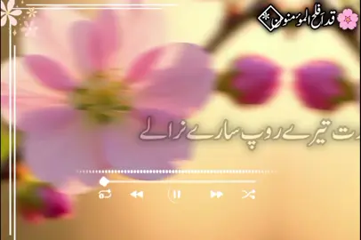 اے عورت تیرے روپ سارے نرالے #fouryou #fouryourpage #100millionviews #100millionviews #unfreezemyacount 