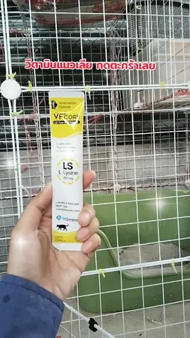 #วิตามินแมวเลีย 