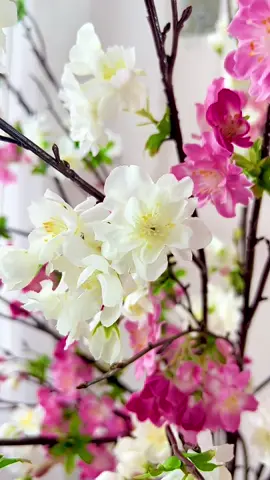 Đẹp . Sang . Mô phòng như hoa thật . Trang trí nhà cửa . Quán xá #xuhướng #hoadaorungkep #hoadao🌸 #hoadaonhantao 