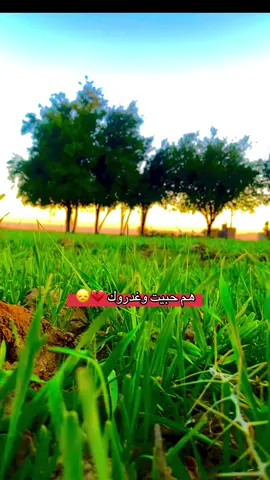 هم حبيت وغدرو بيك 😞💔#تصويري 