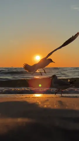 #sunrise #рассвет #sunriseview #🌊🌊 #sunrisemusic 