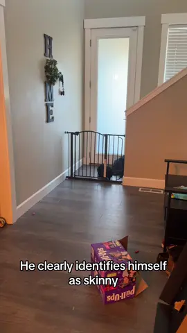 The cat who jumps on counters but somehow can’t jump over a baby gate 🤦‍♀️😂 #cat #catvideo #funnycats #kittycat #catsoftiktok 