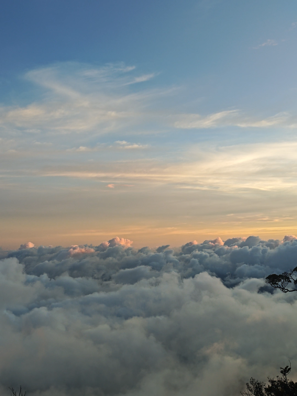 Pov: naik gunung pesawaran after rain@Gunung Pesawaran 1662 MDPL #fyp #gunungpesawaran #pendakigunung #lautanawan #mountain 