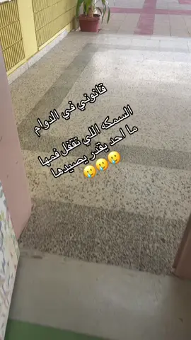 #بنات #سعوديه #شلالحة_الفخر #تعليم 