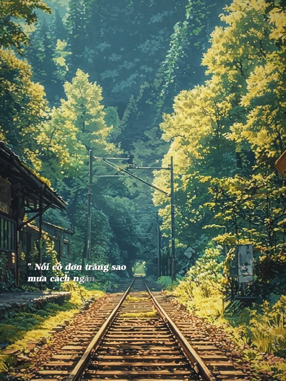 Mây của trời ngàn đời rạng ngời  thênh thang phiêu du suốt kiếp…... #nhachaymoingay #thienhahuutinhnhan 