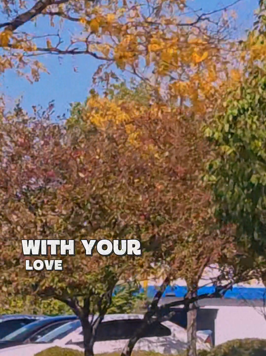 Let's pray #Lord #Sunday #November #fyp #tiktok 