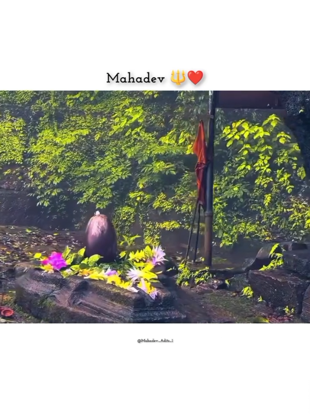 MAHADEV - MAHADEV 🔱🌿💗 #lordshiva #shivshakti #harharmahadev🙏🙏mahakaal #mahadev #harharmahadevॐ 