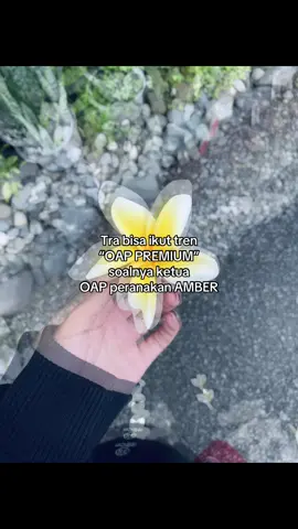 #fypシ゚ #xyzbca #fypage #fyppppppppppppppppppppppp 