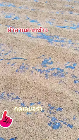 ผ้าลานตากข้าว #ศรีผึ้งลูกยายกลม 