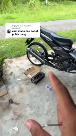 Replying to @brandonrio4 