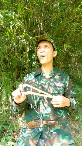 Nature's Hiding Spot #entertainment #birdsounds #shorts #camping #survival - Nguyễn Điền Trung (by @Nguyễn Điền Trung)