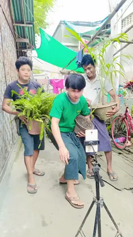 #Tiktok #thinkb4youdo #ကိုလင်း 