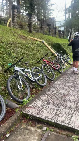 lên lịch book phòng nhắn Thông nhé❤️❤️❤️💪💪💪🌲🌲🌲 #dalatbikechallenge #dalat #cycling #mtb #xedap 
