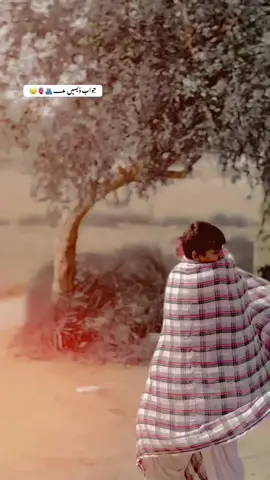 #جیو #جیو #جیو 🫠🫣#جیو @مانی🦁 @╾━╤デ╦︻🦅نواب @سـردار✌️ 