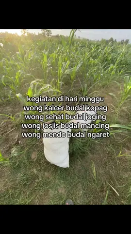 menteng kewane wareg #fyp #masukberanda #suketbalap🌾 #sobatngaret #peternakmuda 