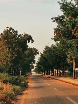 YAI DIL YAI PAGAL DIL MERA😫💔🥹 #gulamali#classicmusic  #urdustatus#viralvideo  #dontunderreviewmyvideo 