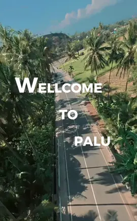 Mari mengenal Kota Palu, jantung dari Provinsi Sulawesi Tengah 🌊✨ Kota yang indah, kaya akan budaya, dan memiliki beragam kuliner khas, salah satunya Abon Ikan Cakalang Palu 🐟💙 #KotaPalu #SulawesiTengah #KulinerNusantara #ExploreSulawesi