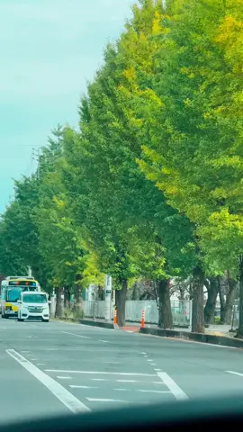 Mùa thu đang đến 🍁🍁