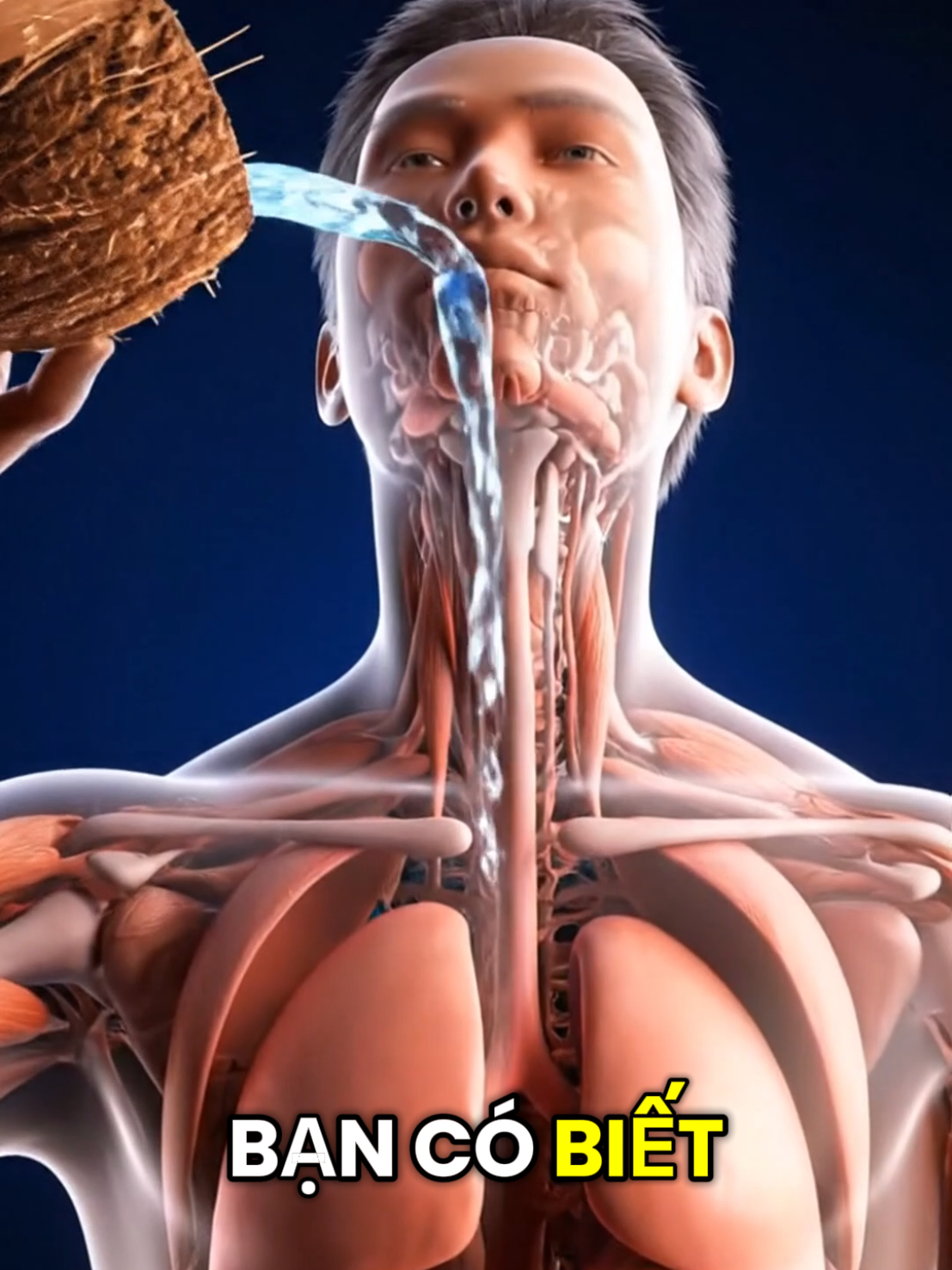 1 trái dừa tốt cho cơ thể ra sao? #healthy #suckhoe #dadep #chamsocsuckhoe #đừa