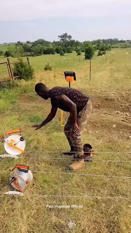 Did You Know UK & World Wonders 💬 #DidYouKnow#MindBlowingFacts #InterestingFacts #StoryFacts #FactTok #KnowledgeFacts #UKTikTok #LifeInEurope #BritishCulture #EuropeanVibes #UKFacts #HistoryFacts #ScienceFacts 