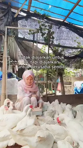 minggunya bersama besti2 aja 😅🤣#mentok #mentokjumbo #fyp #peternakmuda 