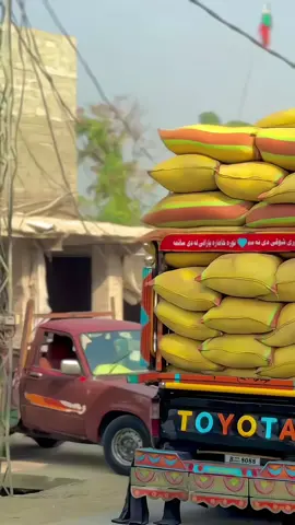 #creatorsearchinsights #8088gorp #foryou #foryoupage #fyp 