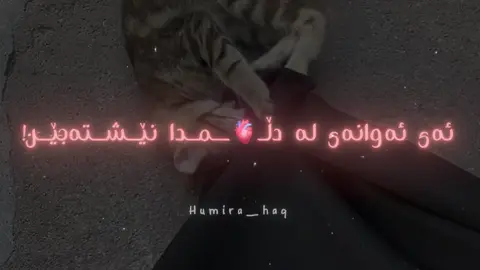 دەزانم، تۆ وشەیەکی. بەڵام زۆر جار، بۆ وشەیەک، هۆنراوەیەکم کوشتووە! دەزانم، تۆ خونچەیەکی. بەڵام زۆر جار، بۆ خونچەیەک، گوڵجاڕێکم جێهێشتووە🥀..! #حمیرا🖤🍃 #fypシ゚viral🖤tiktok #everyone #fypシ゚viral?tiktok #قران 