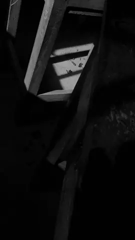 Add the caption yourself ✍️