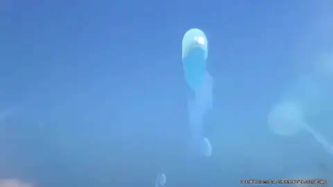 Share raw liệu có hết flop??? #zeltsu_squad#zeltsu#vairal#xuhuonggg 